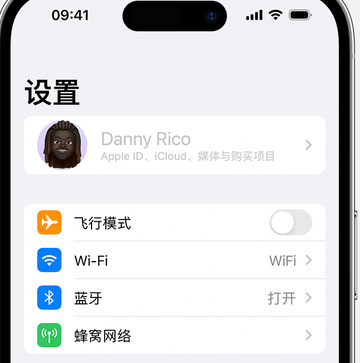 桥东appleID维修服务iPhone设置中Apple ID显示为灰色无法使用 