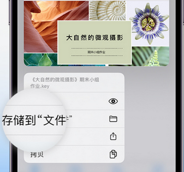 桥东apple维修中心分享iPhone文件应用中存储和找到下载文件