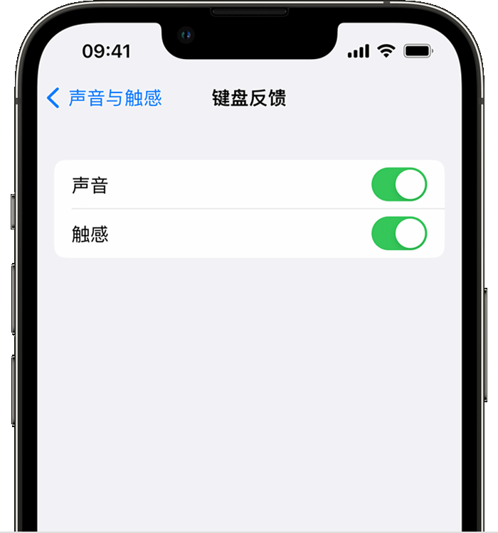 桥东苹果14维修店分享如何在 iPhone 14 机型中使用触感键盘 