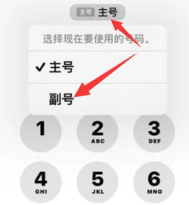 桥东苹果14维修店分享iPhone 14 Pro Max使用副卡打电话的方法 