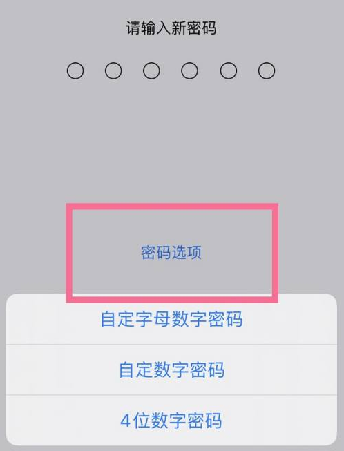 桥东苹果14维修分享iPhone 14plus设置密码的方法 